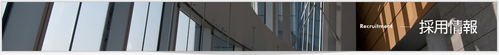 採用情報