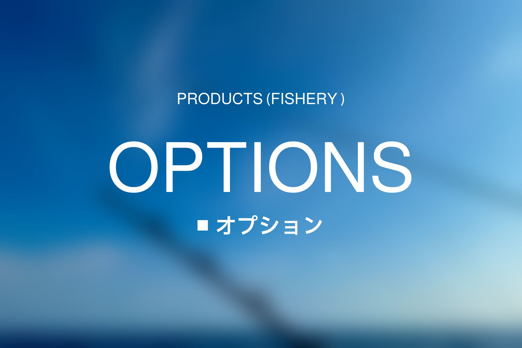オプション
